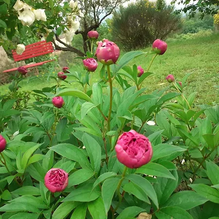 Le Jas Du Colombier Holiday home *