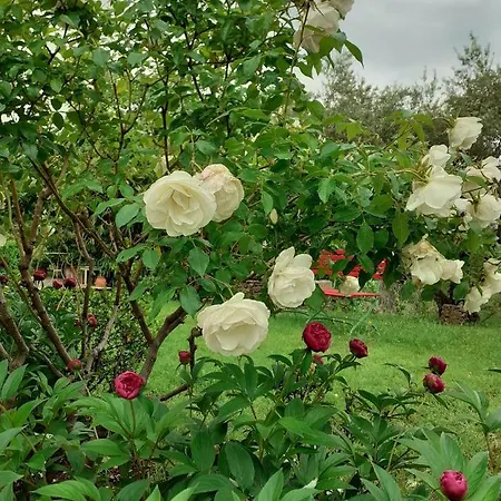 Le Jas Du Colombier Holiday home *