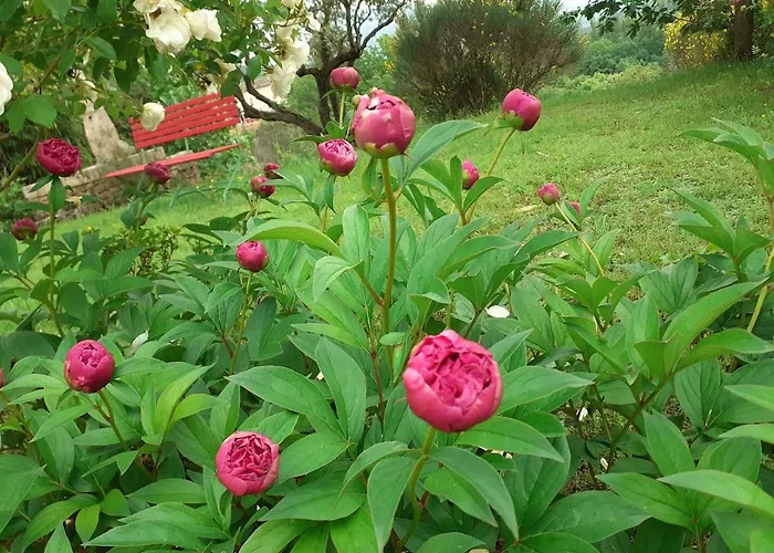 Le Jas Du Colombier Maison d'hôtes 4*