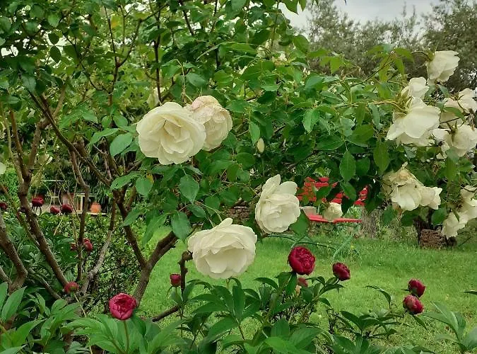 Le Jas Du Colombier Maison d'hôtes 4*